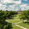Master of Science in Management (iMSM)